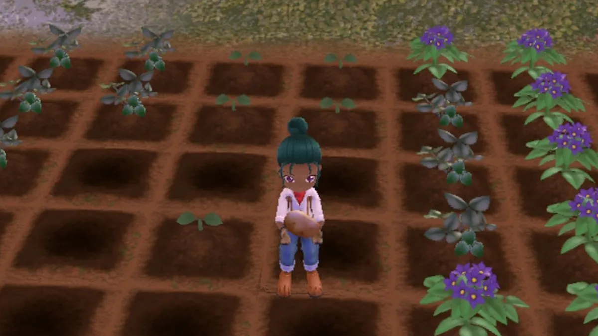 Story of Seasons: A Wonderful Life Remake Tool Guide 